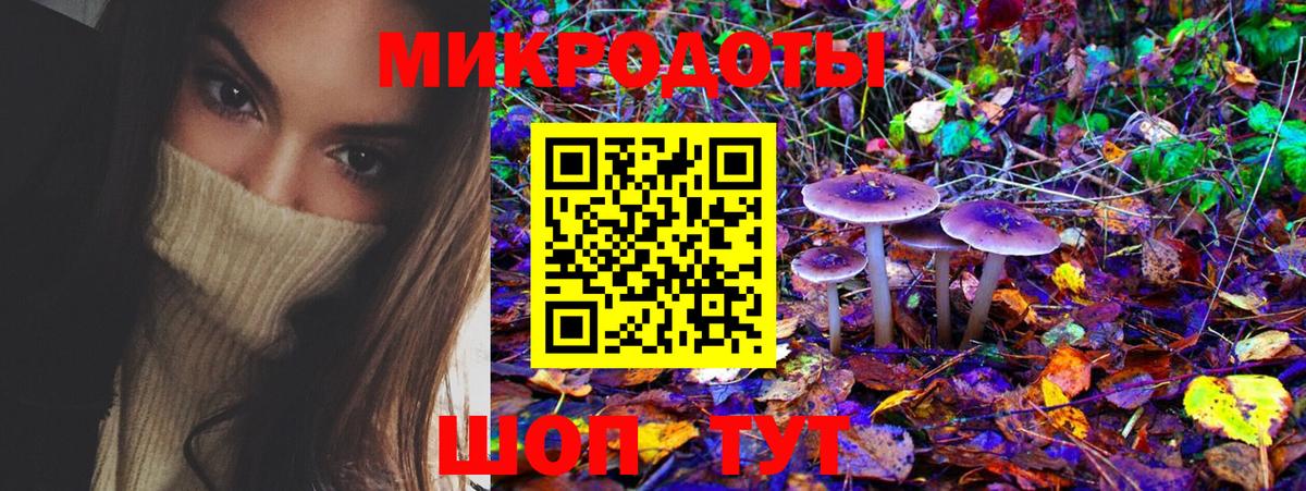 Галлюциногенные грибы Cubensis Таганрог