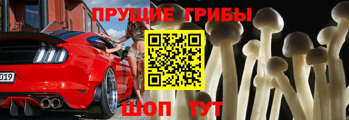 Псилоцибиновые грибы Magic Shrooms  Вход с VPN  Галлюциногенные грибы Cubensis  Таганрог 